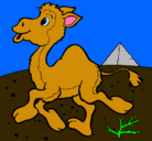 Dibujo Camello pintado por leylany