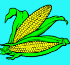Dibujo Mazorca de maíz pintado por ainhoa