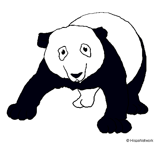 Oso panda