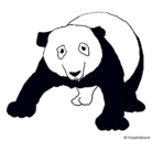 Dibujo Oso panda pintado por Elisa789510289