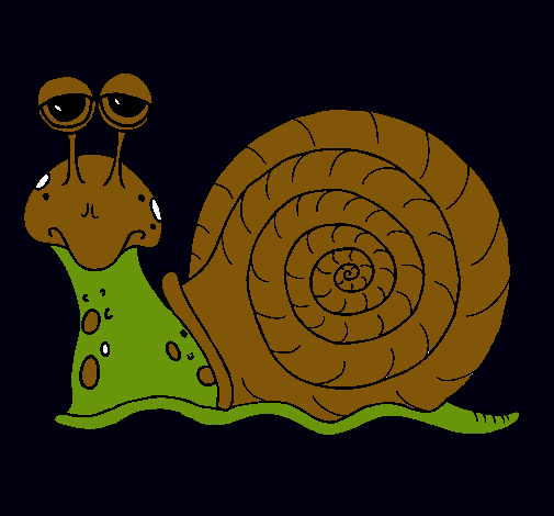 Caracol