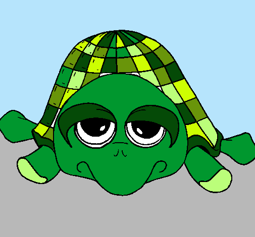 Tortuga