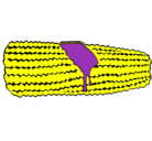 Dibujo Mazorca de maíz pintado por nataliamolano