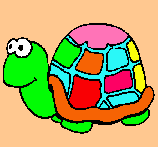 Tortuga