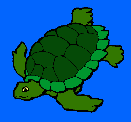 Tortuga