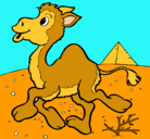 Dibujo Camello pintado por yaiza