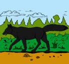 Dibujo Coyote pintado por amolosanimales