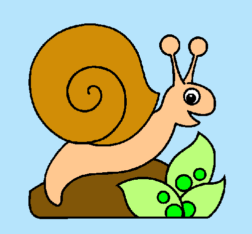 Caracol