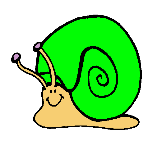 Caracol 