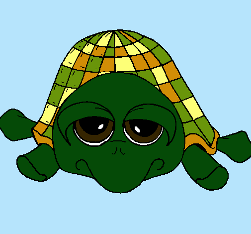 Tortuga