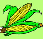Dibujo Mazorca de maíz pintado por nelly