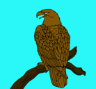 Dibujo Águila en una rama pintado por EDGAR