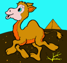 Dibujo Camello pintado por nany