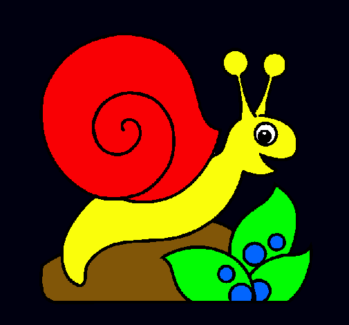 Caracol