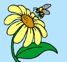 Dibujo Margarita con abeja pintado por Mayra