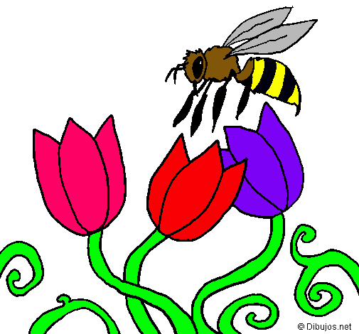 Abeja