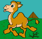 Dibujo Camello pintado por rocyo