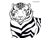 Dibujo Tigre pintado por Enzoelkapo