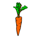Dibujo zanahoria pintado por paulina