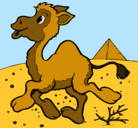 Dibujo Camello pintado por nayerlith