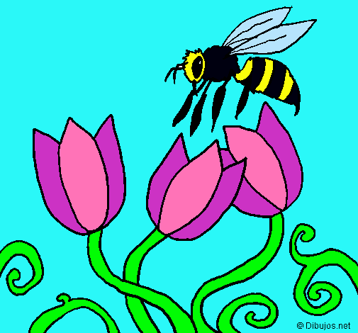 Abeja