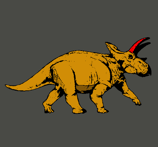 Triceratops