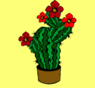 Dibujo Flores de cactus pintado por G*R*R*