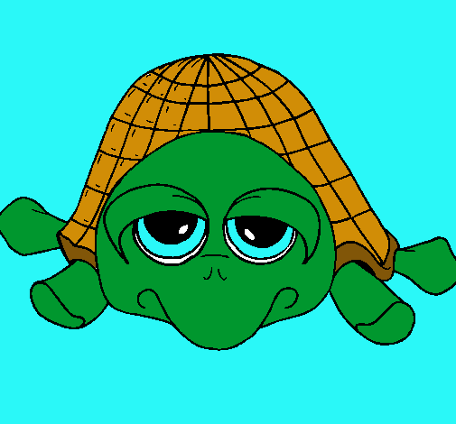 Tortuga