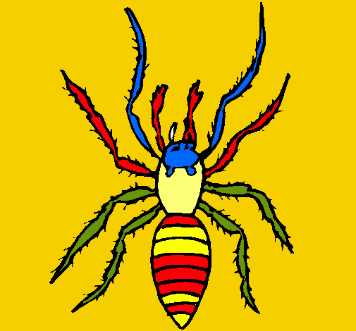 Araña tigre