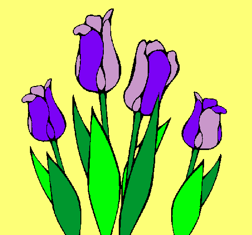 Tulipanes