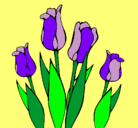 Dibujo Tulipanes pintado por G*R*R*