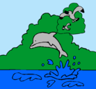 Dibujo Delfín y gaviota pintado por ximena.n.a.