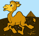 Dibujo Camello pintado por paulina6