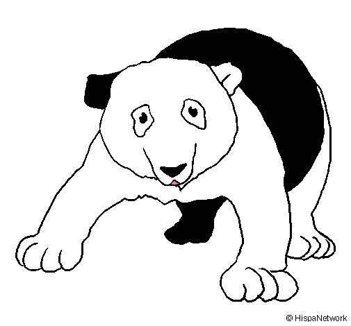 Oso panda