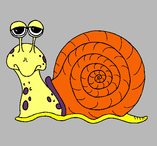 Caracol