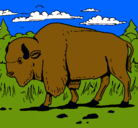 Dibujo Búfalo  pintado por hugojunior