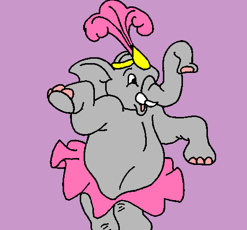 Elefante bailando