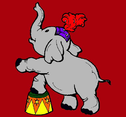 Elefante