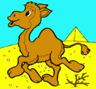 Dibujo Camello pintado por santiago