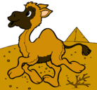 Dibujo Camello pintado por arlene