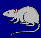 Dibujo Rata subterráena pintado por guilermina