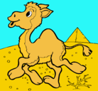 Dibujo Camello pintado por Paulo