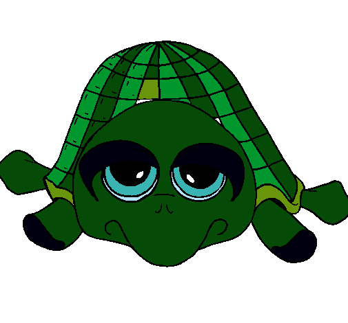 Tortuga