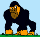 Dibujo Gorila pintado por derek