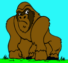 Dibujo Gorila pintado por ALMA