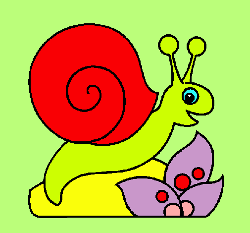 Caracol