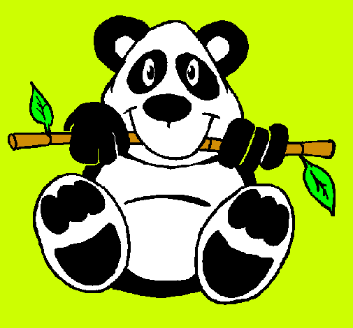 Oso panda