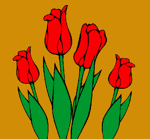 Tulipanes