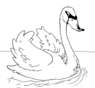 Dibujo Cisne en el agua pintado por carlos