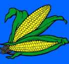 Dibujo Mazorca de maíz pintado por sofia